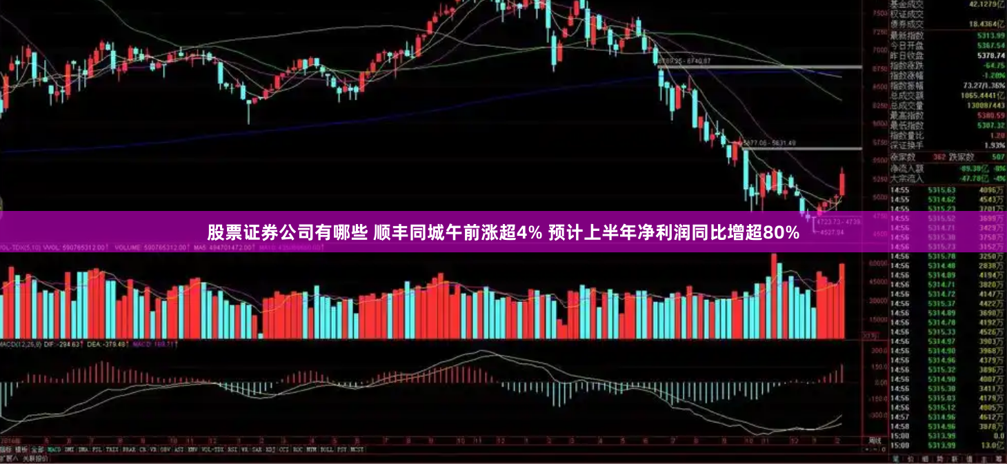 股票证券公司有哪些 顺丰同城午前涨超4% 预计上半年净利润同比增超80%